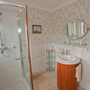 Shower in the main bathroom