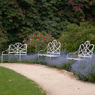 The Lost Gardens of Heligan